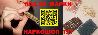 сатива Можга
