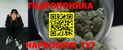 сатива Можга