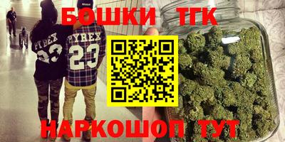 сатива Можга
