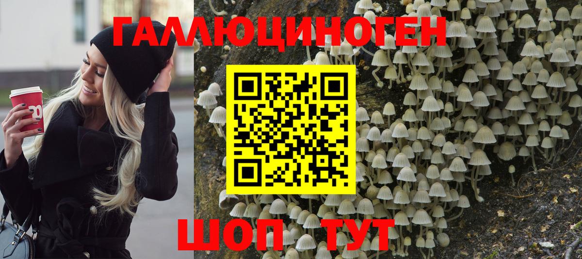 Псилоцибиновые грибы MAGIC MUSHROOMS  Вход с VPN  Галлюциногенные грибы Psilocybe  Балтийск 